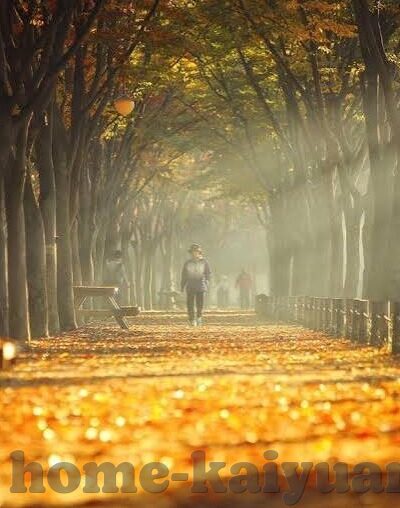 27号足球比分-27号足球赛事比分全解析，绿茵场上的风云变幻与战术博弈