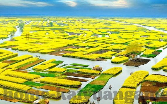 足球比分70-从7-0到全民狂欢，足球比分背后的社会镜像与时代情绪